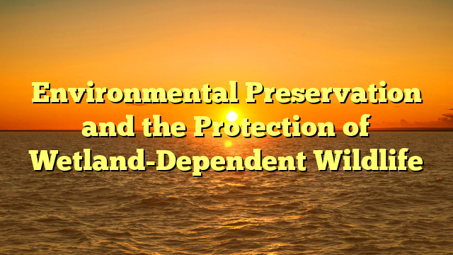 Environmental Preservation and the Protection of Wetland-Dependent Wildlife