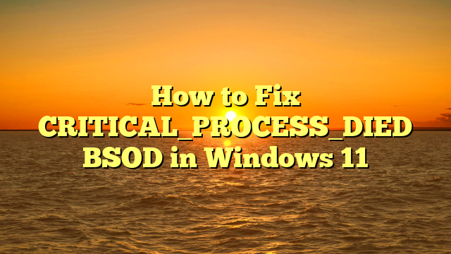 How to Fix CRITICAL_PROCESS_DIED BSOD in Windows 11